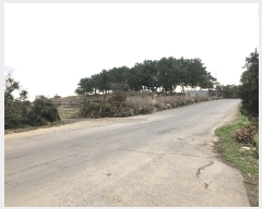  2024Ÿ��1172 ���� ���ֽ� ��õ�� ���긮 2082      ����(�Ӿ�)���