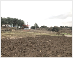  2024Ÿ��1172 ���� ���ֽ� ��õ�� ���긮 2082      ����(�Ӿ�)���