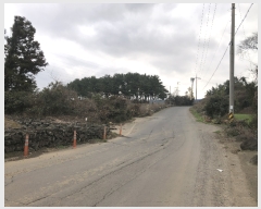  2024Ÿ��1172 ���� ���ֽ� ��õ�� ���긮 2082      ����(�Ӿ�)���