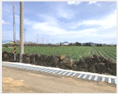  2024Ÿ��3321 ���� �������� ������ ������ 3728-3      ����(��1)���