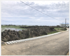  2024Ÿ��3321 ���� �������� ������ ������ 3728-3      ����(��1)���