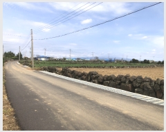  2024Ÿ��3321 ���� �������� ������ ������ 3728-3      ����(��1)���