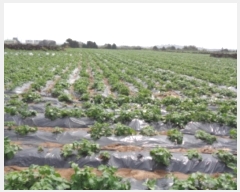  2024Ÿ��3321 ���� �������� ������ ������ 3728-3      ����(��1)���