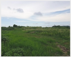  2024Ÿ8616  ֽ ֿ  3560-1      ,â