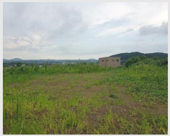  2024Ÿ8616  ֽ ֿ  3560-1      ,â