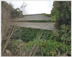  2024Ÿ8616  ֽ ֿ  3560-1      ,â