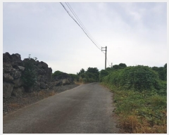  2024Ÿ8616  ֽ ֿ  3560-1      ,â