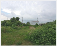  2024Ÿ8616  ֽ ֿ  3560-1      ,â