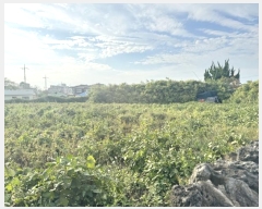  2024Ÿ10800  ֽ Ѹ Ѹ 1016      (1)