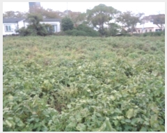  2024Ÿ10800  ֽ Ѹ Ѹ 1016      (1)