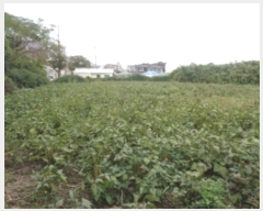  2024Ÿ10800  ֽ Ѹ Ѹ 1016      (1)