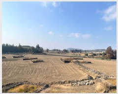  2024Ÿ13564   ȴ  834-7      (Ӿ)