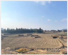  2024Ÿ13564   ȴ  834-7      (Ӿ)