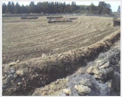  2024Ÿ13564   ȴ  834-7      (Ӿ)