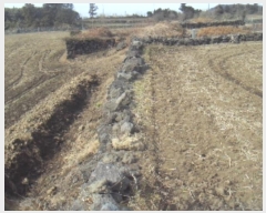  2024Ÿ13564   ȴ  834-7      (Ӿ)