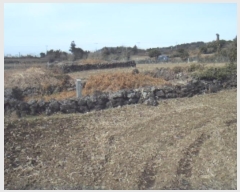  2024Ÿ13564   ȴ  834-7      (Ӿ)