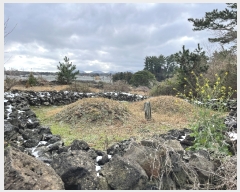  2024Ÿ��20760 ���� ���ֽ� ��õ�� ��õ�� ��31      ����(�Ӿ�)���