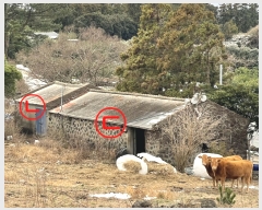  2024Ÿ��20760 ���� ���ֽ� ��õ�� ��õ�� ��31      ����(�Ӿ�)���