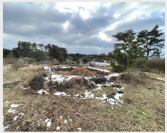  2024Ÿ��20760 ���� ���ֽ� ��õ�� ��õ�� ��31      ����(�Ӿ�)���