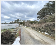  2024Ÿ��20760 ���� ���ֽ� ��õ�� ��õ�� ��31      ����(�Ӿ�)���