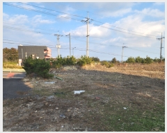  2024Ÿ��21084 ���� �������� ��ȫ�� 1916       ����(�Ӿ�)���