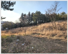  2024Ÿ��21084 ���� �������� ��ȫ�� 1916       ����(�Ӿ�)���