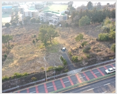  2024Ÿ��21084 ���� �������� ��ȫ�� 1916       ����(�Ӿ�)���