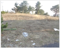  2024Ÿ��21084 ���� �������� ��ȫ�� 1916       ����(�Ӿ�)���