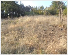  2024Ÿ��21084 ���� �������� ��ȫ�� 1916       ����(�Ӿ�)���