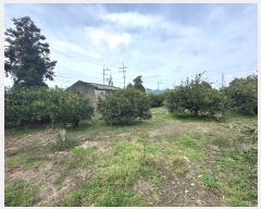  2024Ÿ��22346 ���� ���ֽ� �ֿ��� ������ 442-1      ����(������)���