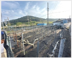  2024Ÿ��22605  �����