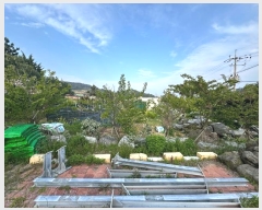  2024Ÿ��22605  �����