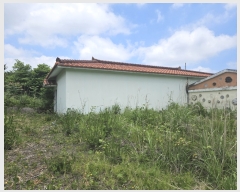  2024Ÿ26966     685 ̵ȣ     ܵ,ð