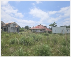  2024Ÿ26966     685 ̵ȣ     ܵ,ð