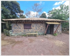  2024Ÿ��29286 ���� �������� ǥ���� ǥ���� 981-1      ���ð��