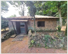  2024Ÿ��29286 ���� �������� ǥ���� ǥ���� 981-1      ���ð��