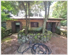  2024Ÿ��29286 ���� �������� ǥ���� ǥ���� 981-1      ���ð��