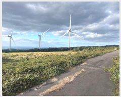  2024Ÿ��33889 ���� ���ֽ� �ֿ��� ������ ��61      ����(�������)���