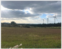  2024Ÿ��33889 ���� ���ֽ� �ֿ��� ������ ��61      ����(�������)���