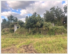  2024Ÿ��33889 ���� ���ֽ� �ֿ��� ������ ��61      ����(�������)���