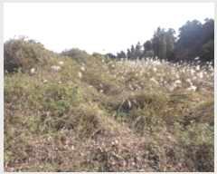  2024Ÿ��33889 ���� ���ֽ� �ֿ��� ������ ��61      ����(�������)���