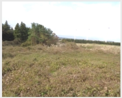  2024Ÿ��33889 ���� ���ֽ� �ֿ��� ������ ��61      ����(�������)���