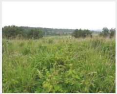  2024Ÿ��5464 ���� ���ֽ� �ֿ��� ���ɸ� ��170-10      ����(�������)���