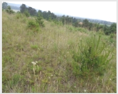  2024Ÿ��5464 ���� ���ֽ� �ֿ��� ���ɸ� ��170-10      ����(�������)���