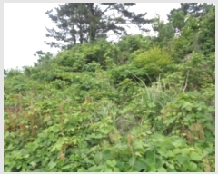  2024Ÿ��5464 ���� ���ֽ� �ֿ��� ���ɸ� ��170-10      ����(�������)���