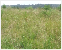  2024Ÿ��5464 ���� ���ֽ� �ֿ��� ���ɸ� ��170-10      ����(�������)���