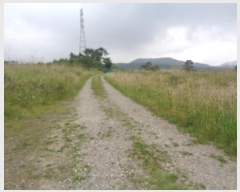  2024Ÿ��5464 ���� ���ֽ� �ֿ��� ���ɸ� ��170-10      ����(�������)���