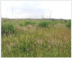  2024Ÿ��5464 ���� ���ֽ� �ֿ��� ���ɸ� ��170-10      ����(�������)���