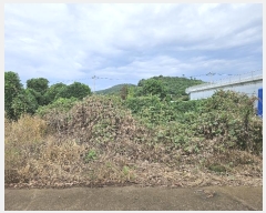  2024Ÿ��10985 ���� ���ֽ� �Ѹ��� ����� 1558-2      ����(��1)���