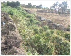  2024Ÿ��10985 ���� ���ֽ� �Ѹ��� ����� 1558-2      ����(��1)���